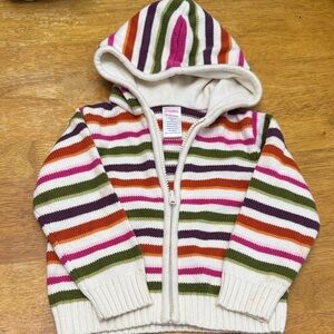 Gymboree Multicolor Striped Hoodie